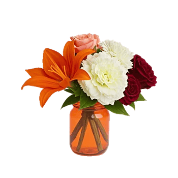 Petal Radiance Bliss