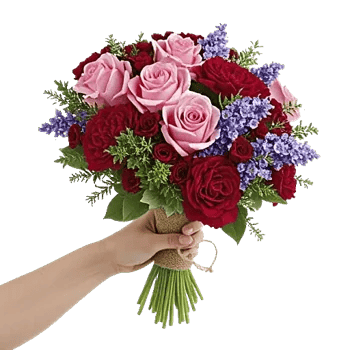 Pastel Pink Roses
