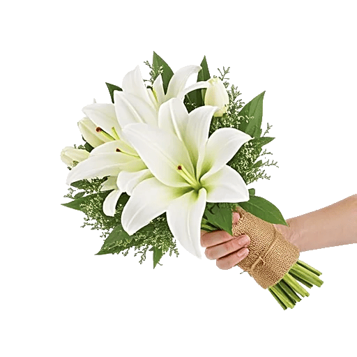 Elegant Calla Lilies