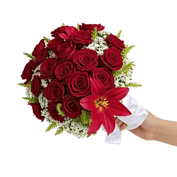 Crimson Rose Elegance