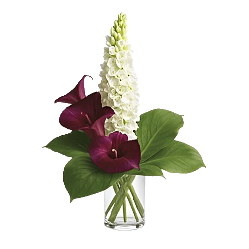Elegant Calla Lilies