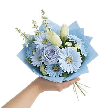 Blossom Petal Serenity