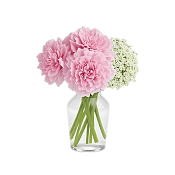 Delicate Petal Cascade