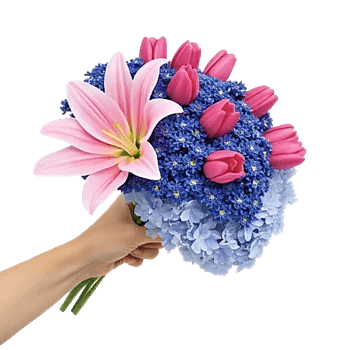 Blossom Petal Serenity