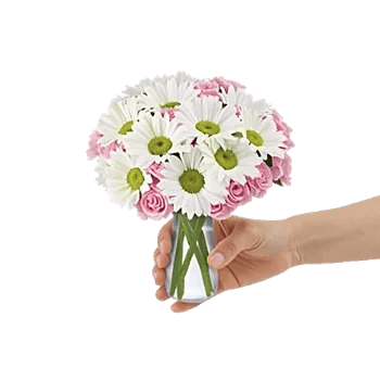 Petal Harmony Bliss