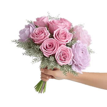 Pastel Pink Roses