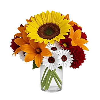 Radiant Bloom Cascade