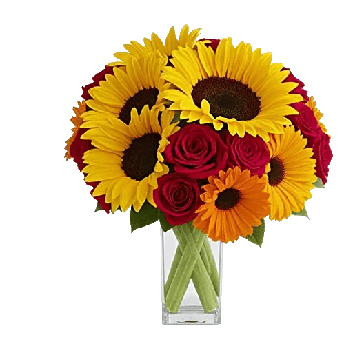 Radiant Bloom Cascade