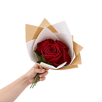 Crimson Rose Elegance