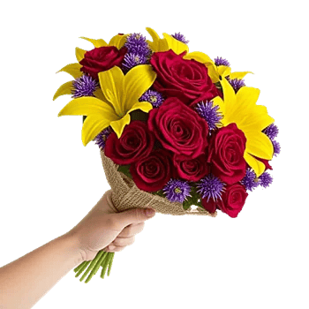 Crimson Rose Elegance