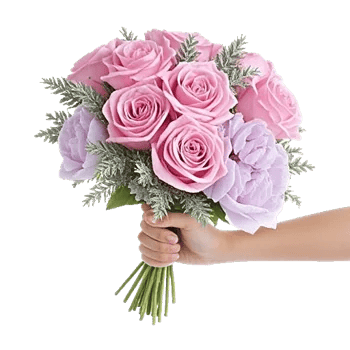 Pastel Pink Roses