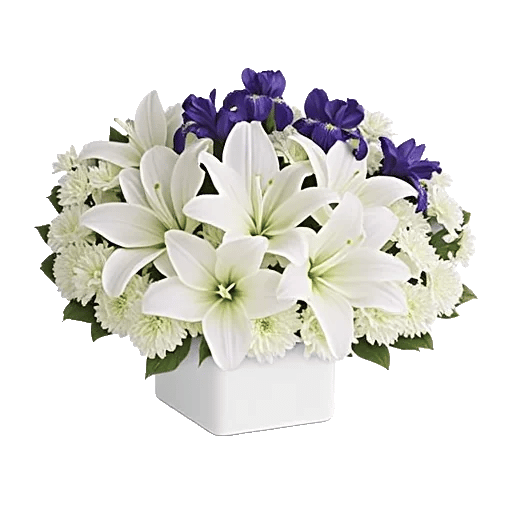 Graceful Lily Display