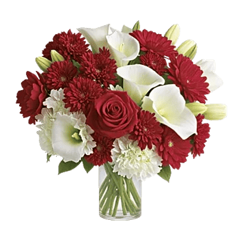 Crimson Blossom Harmony