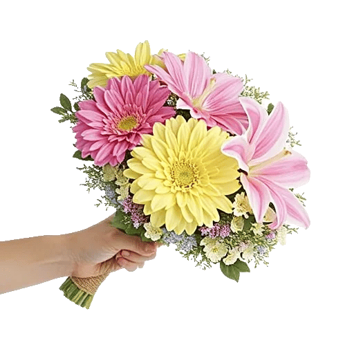 Blossom Harmony Display