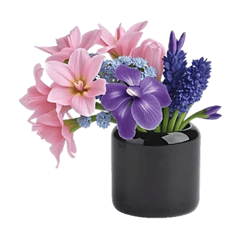 Ivory Blossom Radiance