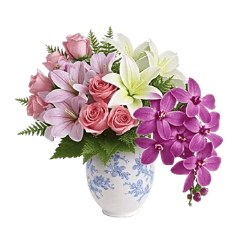 Orchid Bloom Cascade