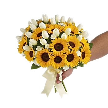 Blossom Harmony Display