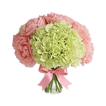 Ivory Blossom Radiance