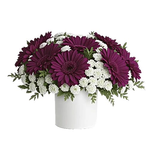 Graceful Lily Display