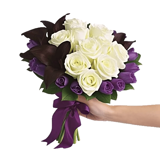 Crimson Rose Elegance