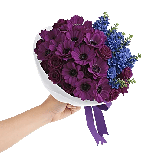 Petal Softness Display