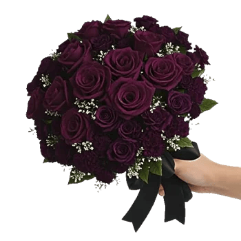 Crimson Rose Elegance