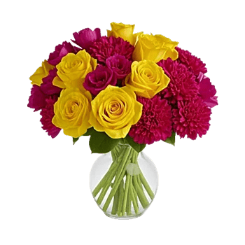 Petal Radiance Bliss