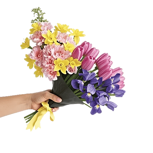 Blossom Petal Serenity