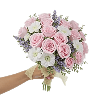Pastel Pink Roses