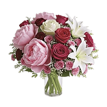 Petal Radiance Bliss