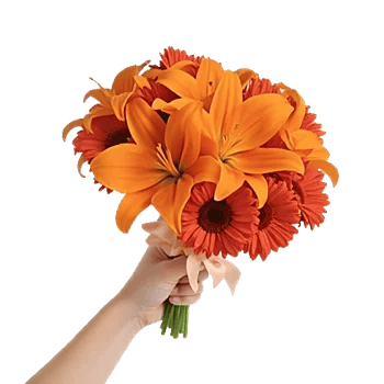Vibrant Orange Delight