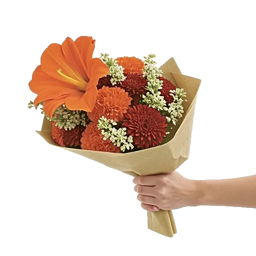 Amber Petal Spread