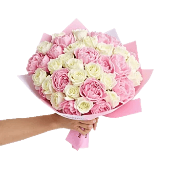 Peony Petal Harmony