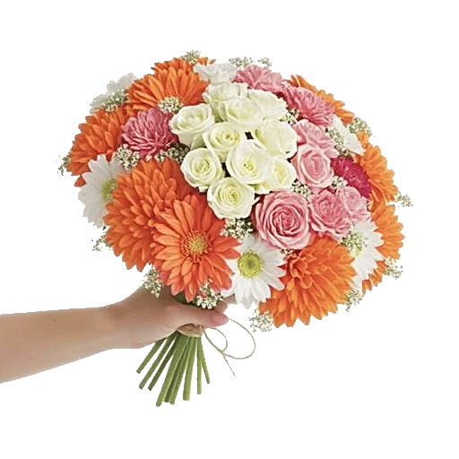 Delicate Petal Cascade
