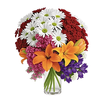 Petal Radiance Bliss