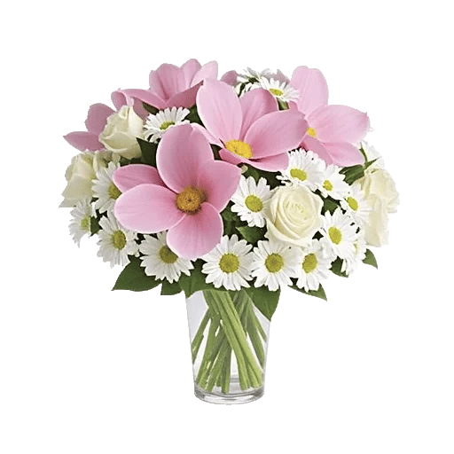 Serenity Orchid Bloom