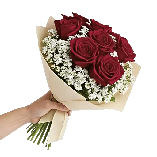 Crimson Rose Elegance