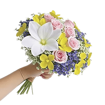 Ivory Garden Grace