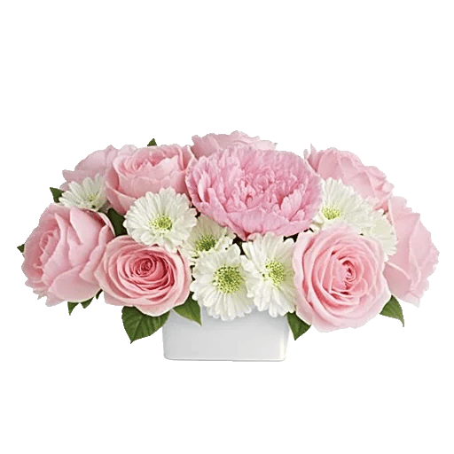 Delicate Petal Cascade