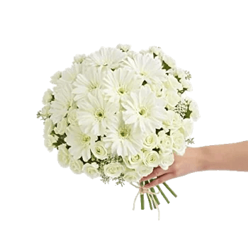 Delicate Petal Cascade