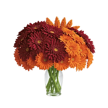 Crimson Blossom Harmony