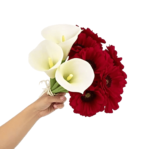 Elegant Calla Lilies
