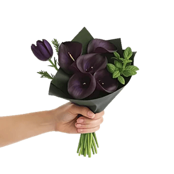 Elegant Calla Lilies