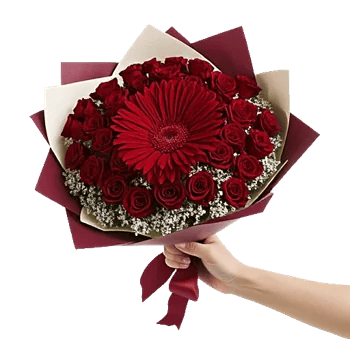 Crimson Rose Elegance