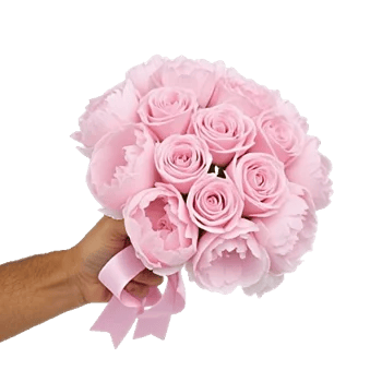 Pastel Pink Roses
