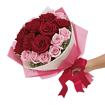 Crimson Rose Elegance