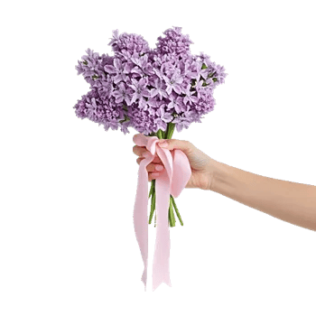 Rosemary Bloom Elegance