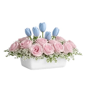 Blossom Petal Serenity