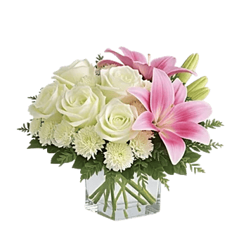 Minimalist White Orchids