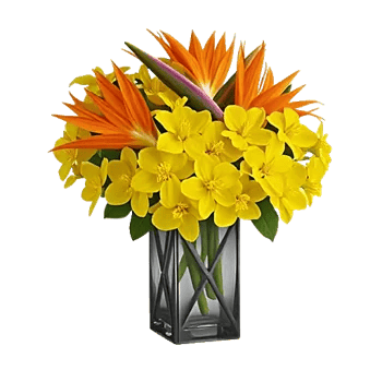 Orchid Bloom Cascade